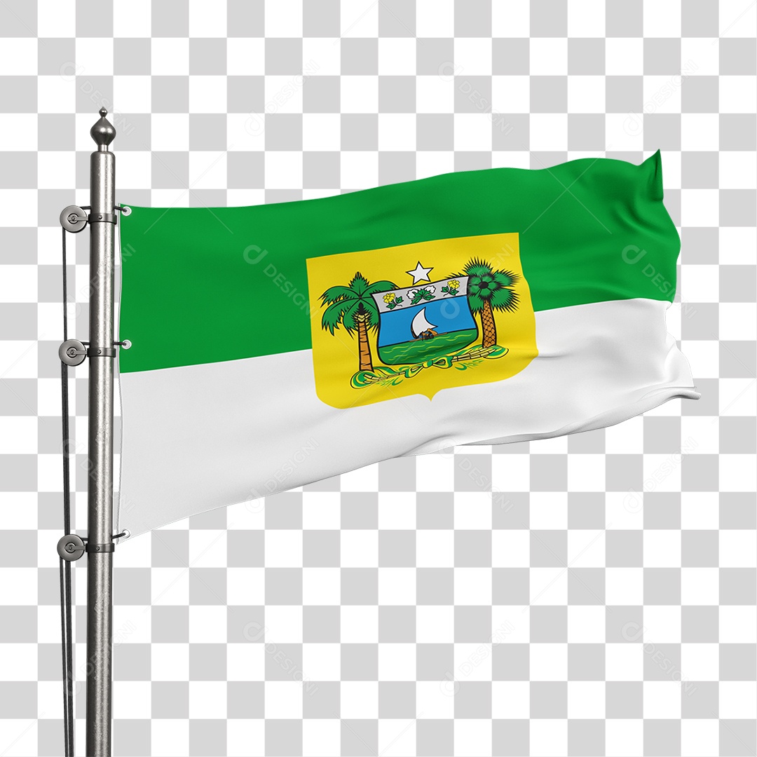 Bandeira do Rio Grande do Norte PNG Transparente