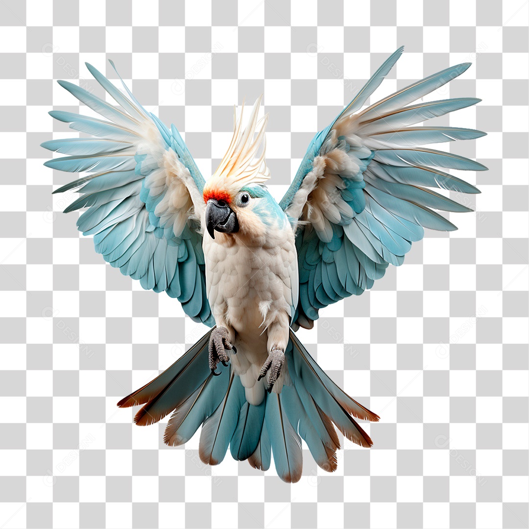 Papagaio Colorido PNG Transparente