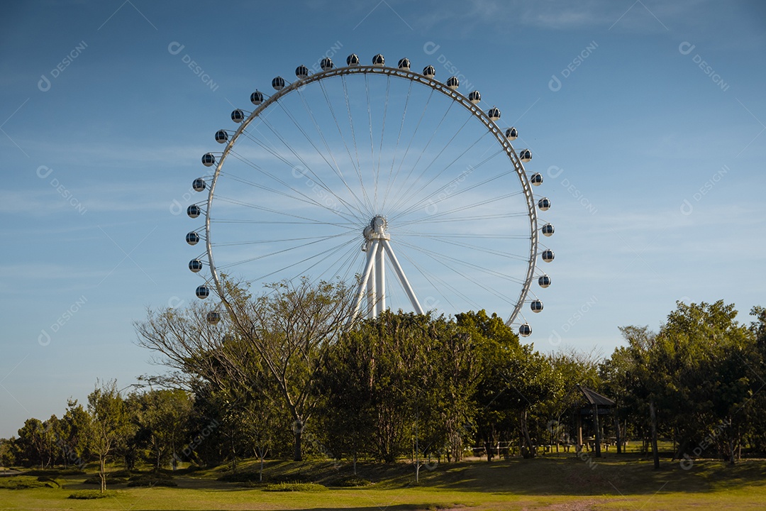 A maior roda gigante da América Latina Roda Rico São Paulo