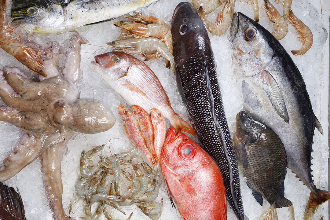 Frutos do mar frescos no gelo