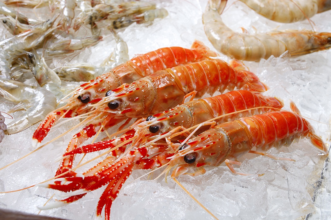 Lagosta crua fresca no gelo