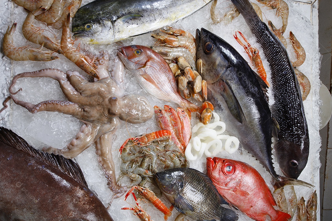 Peixes e frutos do mar fresco