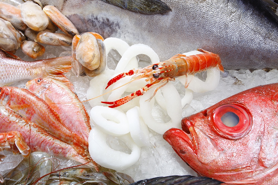 Peixes e frutos do mar fresco
