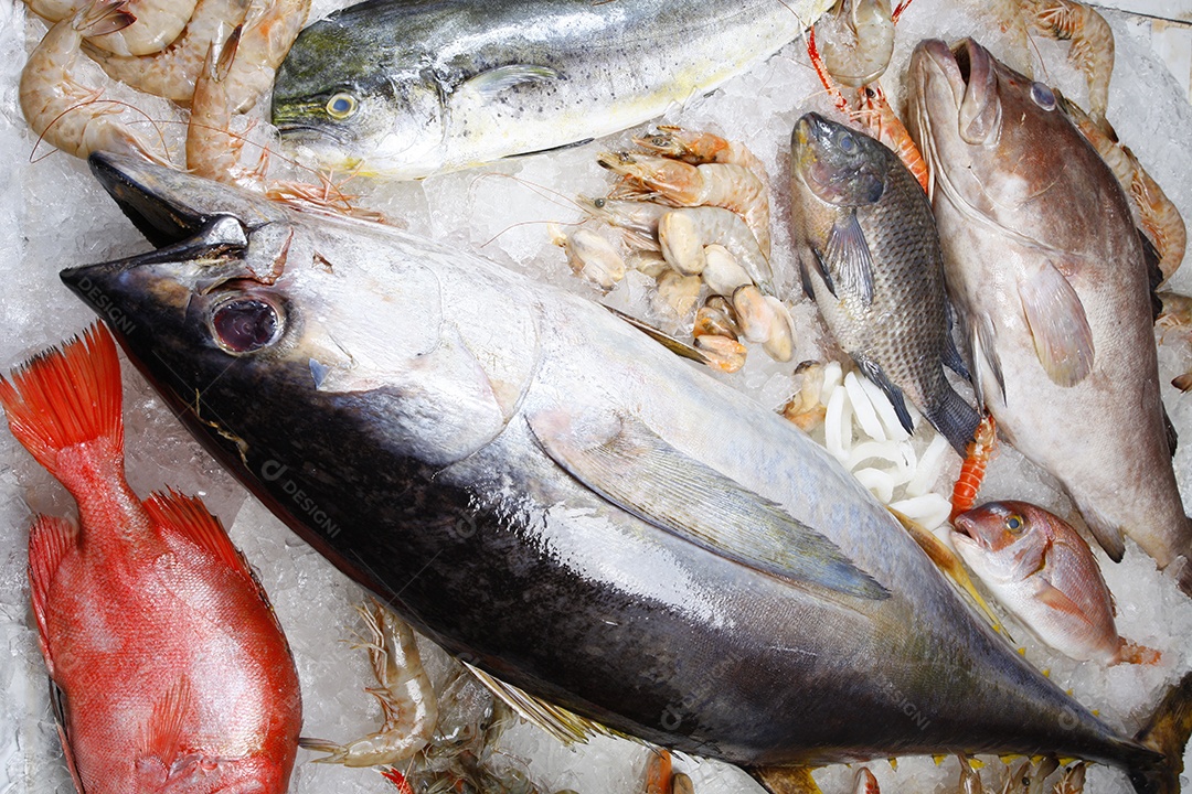 Peixes e frutos do mar fresco