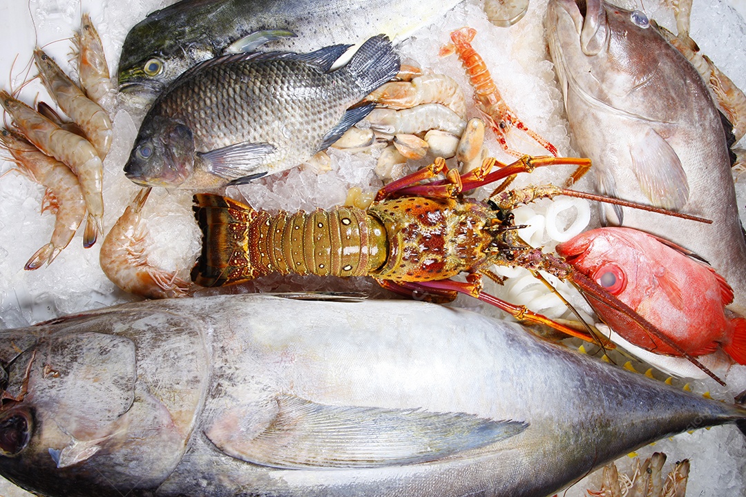 Peixes e frutos do mar fresco