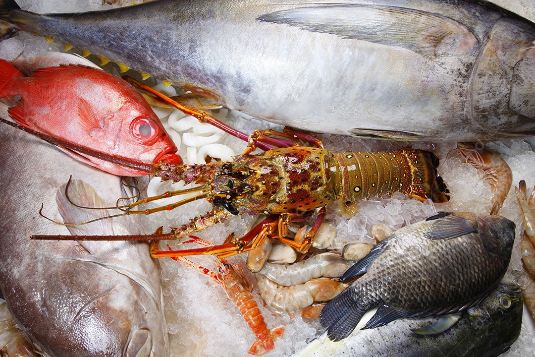Peixes e frutos do mar em uma bancada
