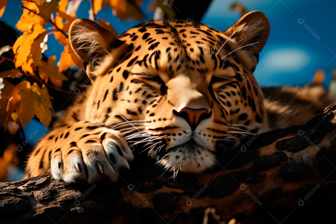 Leopardo preguiçoso descansando na árvore com um fundo desfocado na floresta