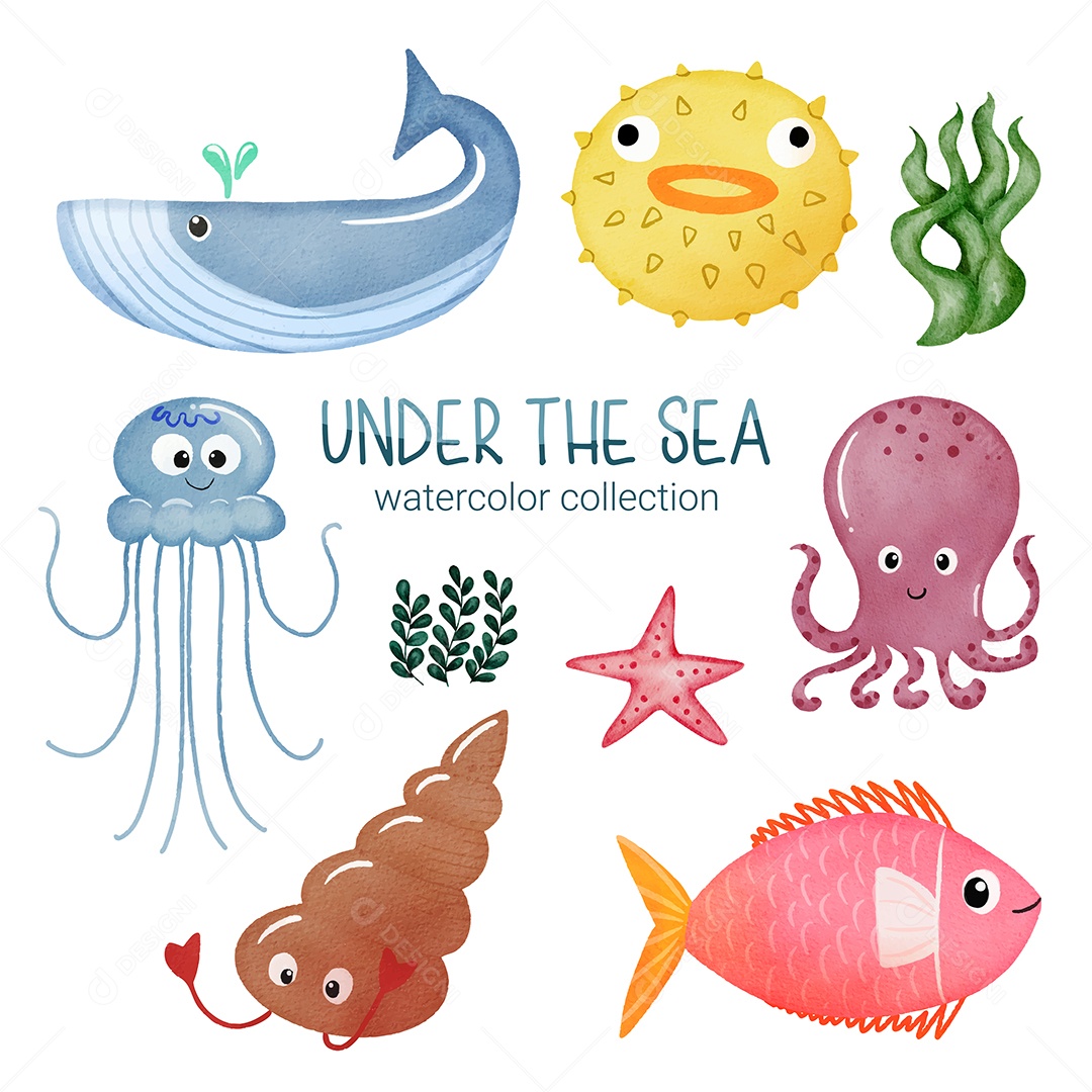 Vida Marinha Ilustração Vetor EPS