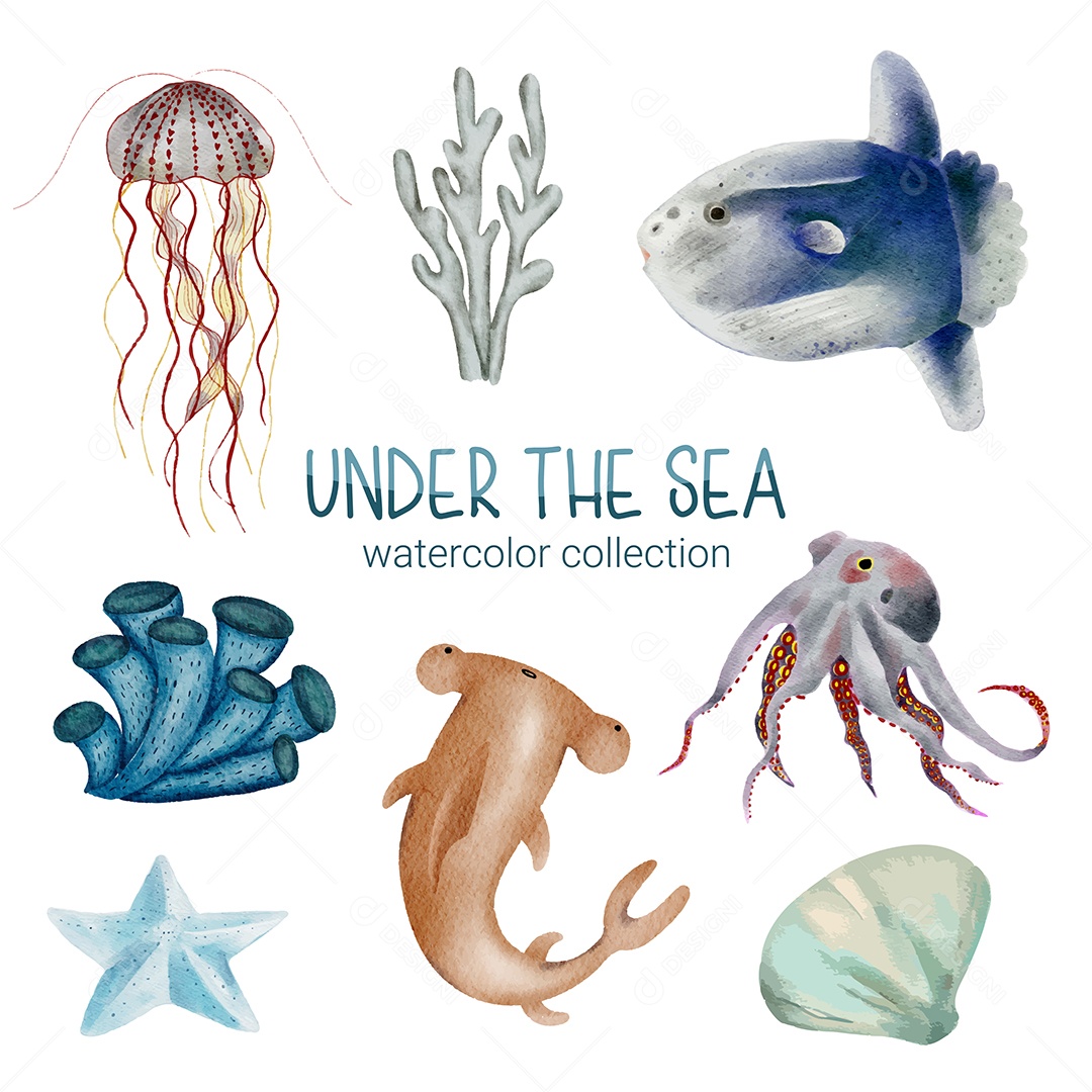 Vida Marinha Ilustração Vetor EPS