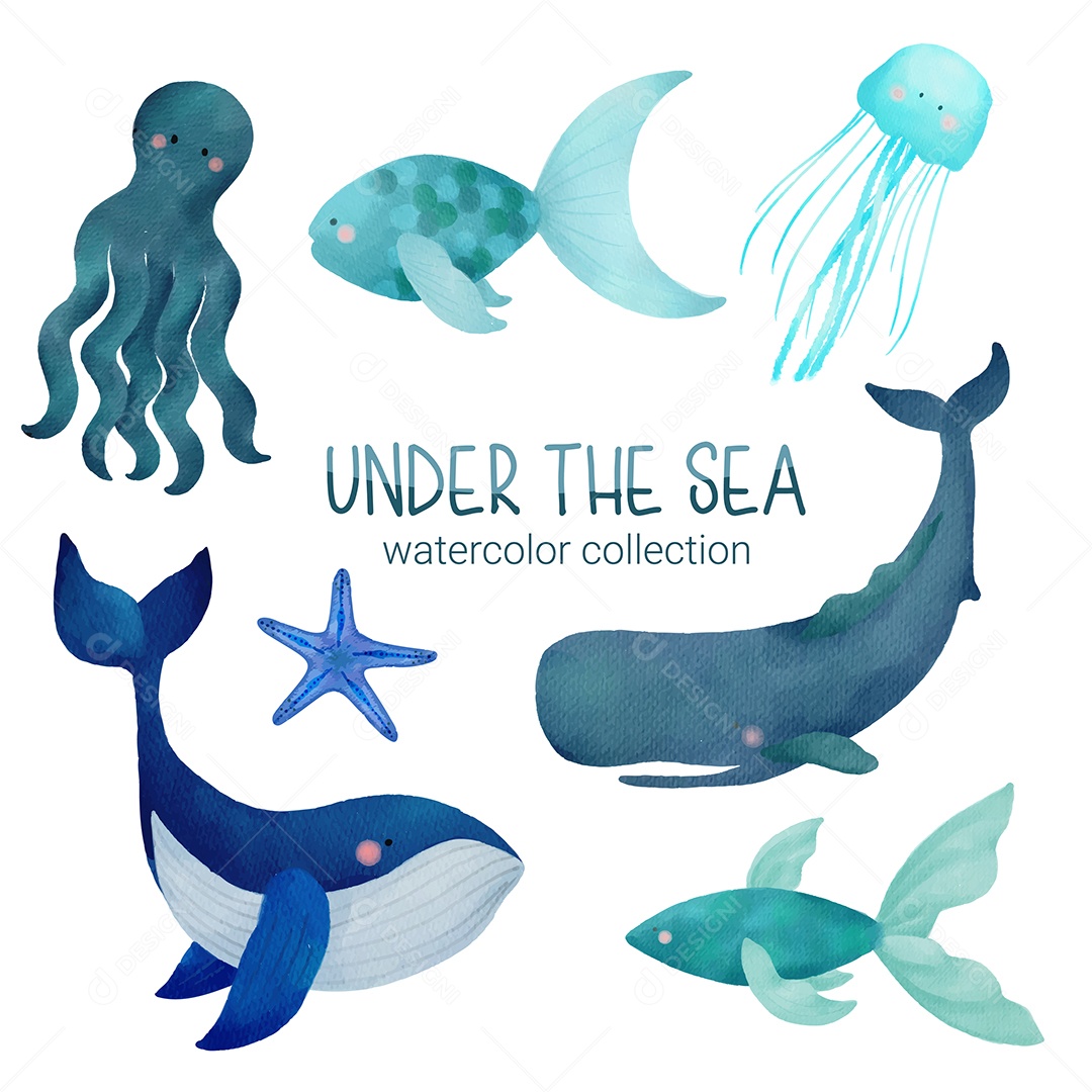 Vida Marinha Ilustração Vetor EPS