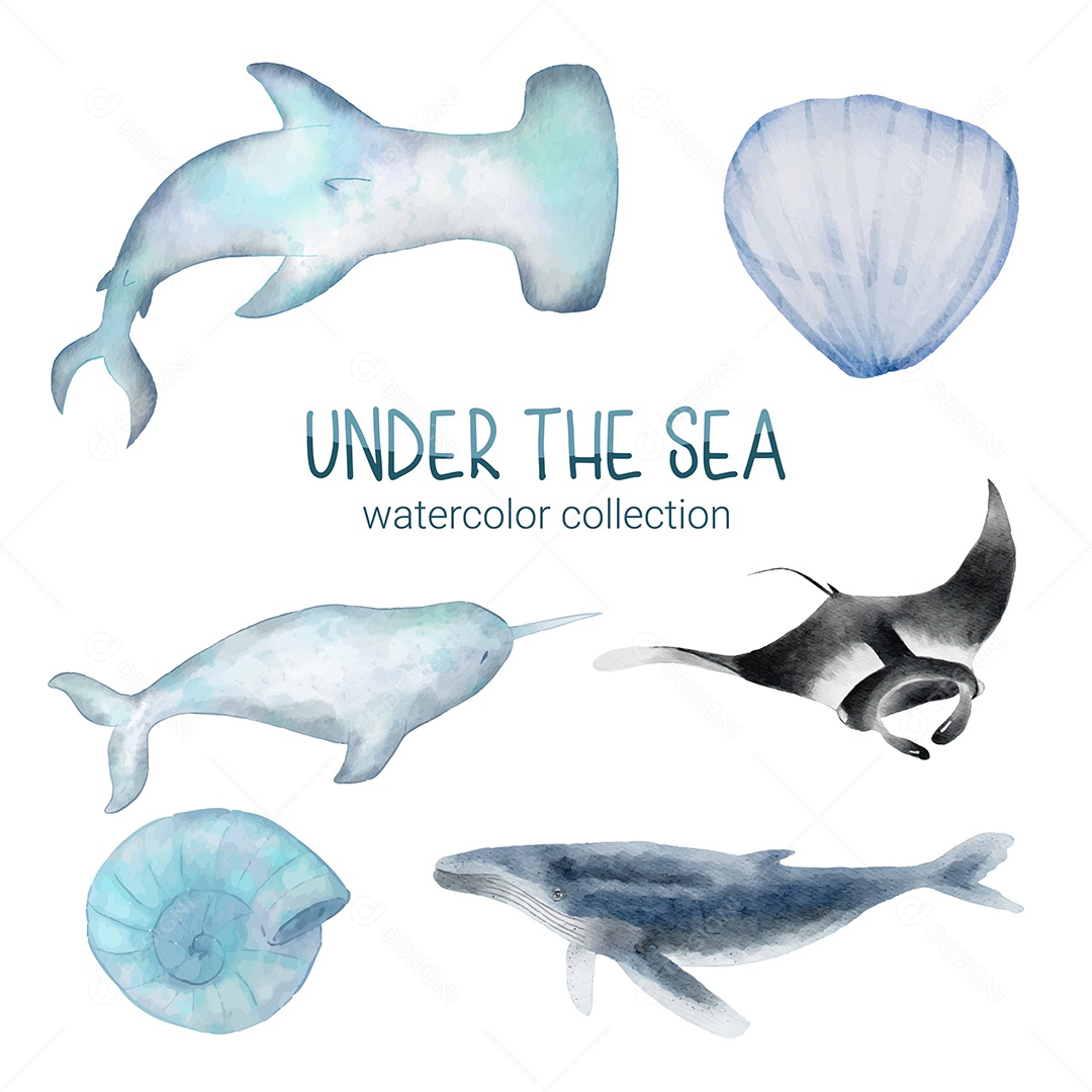 Vida Marinha Ilustração Vetor EPS