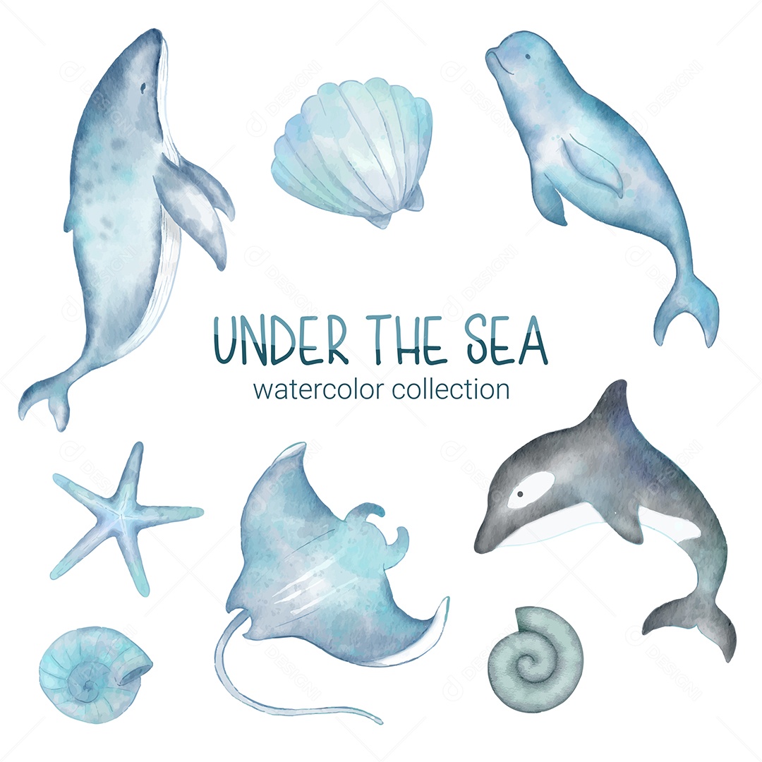 Vida Marinha Ilustração Vetor EPS