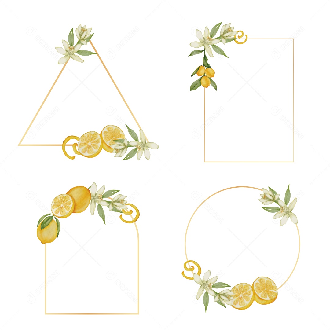 Conjunto De Molduras Ilustração Vetor EPS