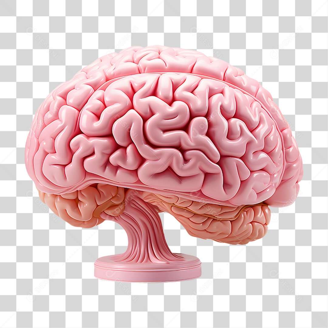 Elemento 3D Cérebro para Composição PNG Transparente