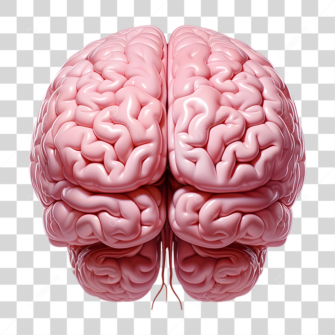 Elemento 3D Cérebro para Composição PNG Transparente