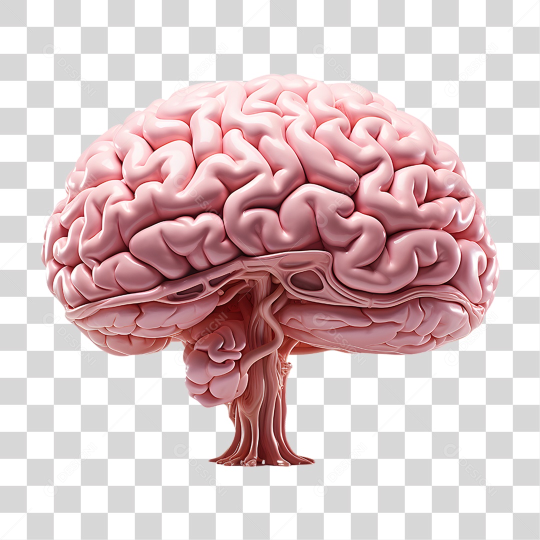 Elemento 3D Cérebro para Composição PNG Transparente