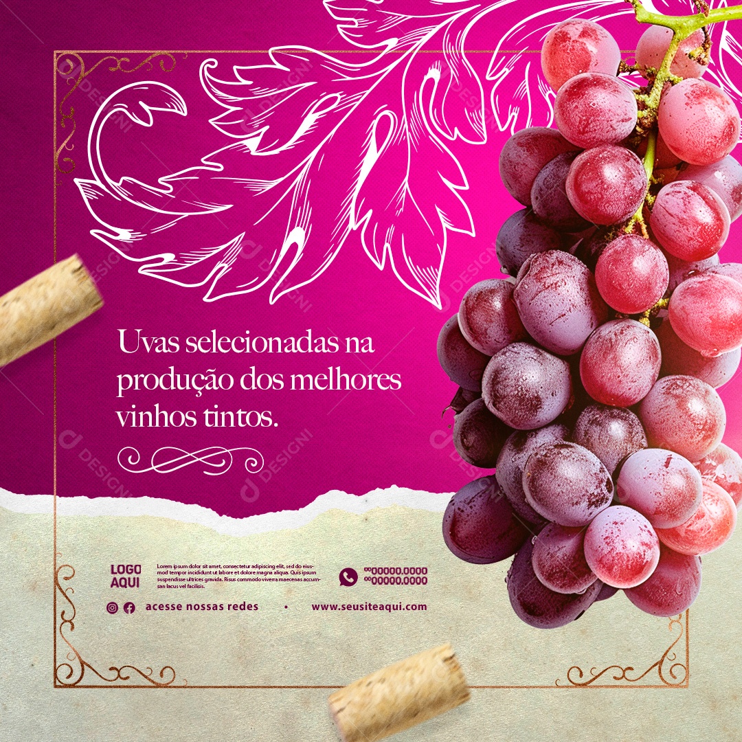 Casa de Vinho Uvas Selecionadas na Produção Social Media PSD Editável