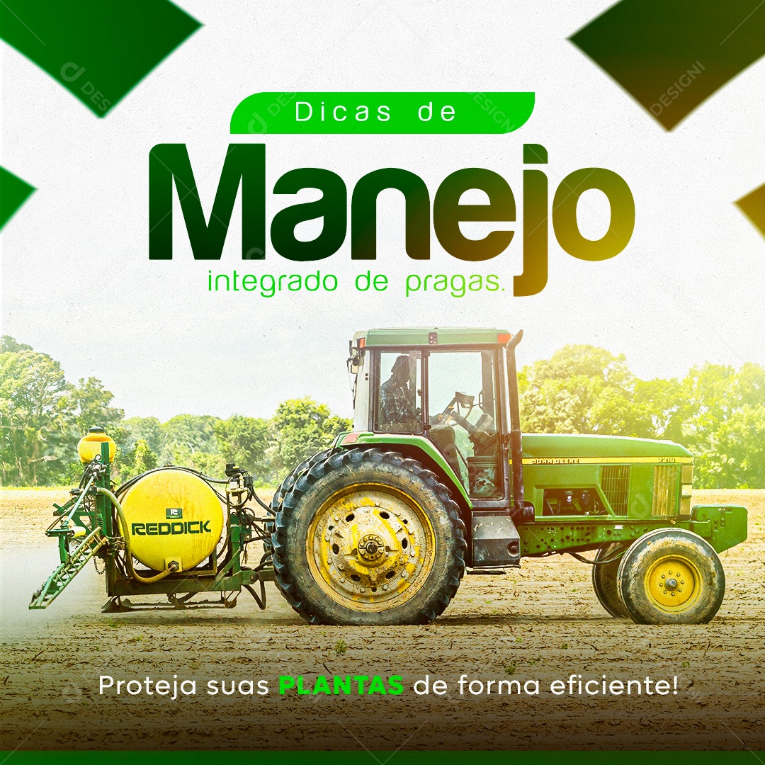 Social Media Dicas De Manejo Integrado De Pragas PSD Editável