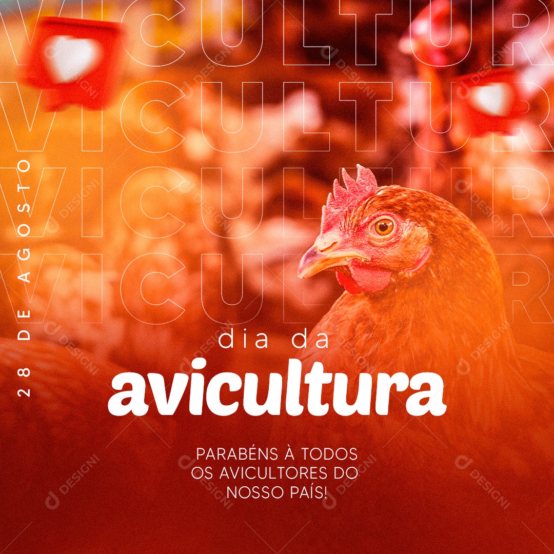 Social Media Dia Da Avicultura 28 De Agosto PSD Editável