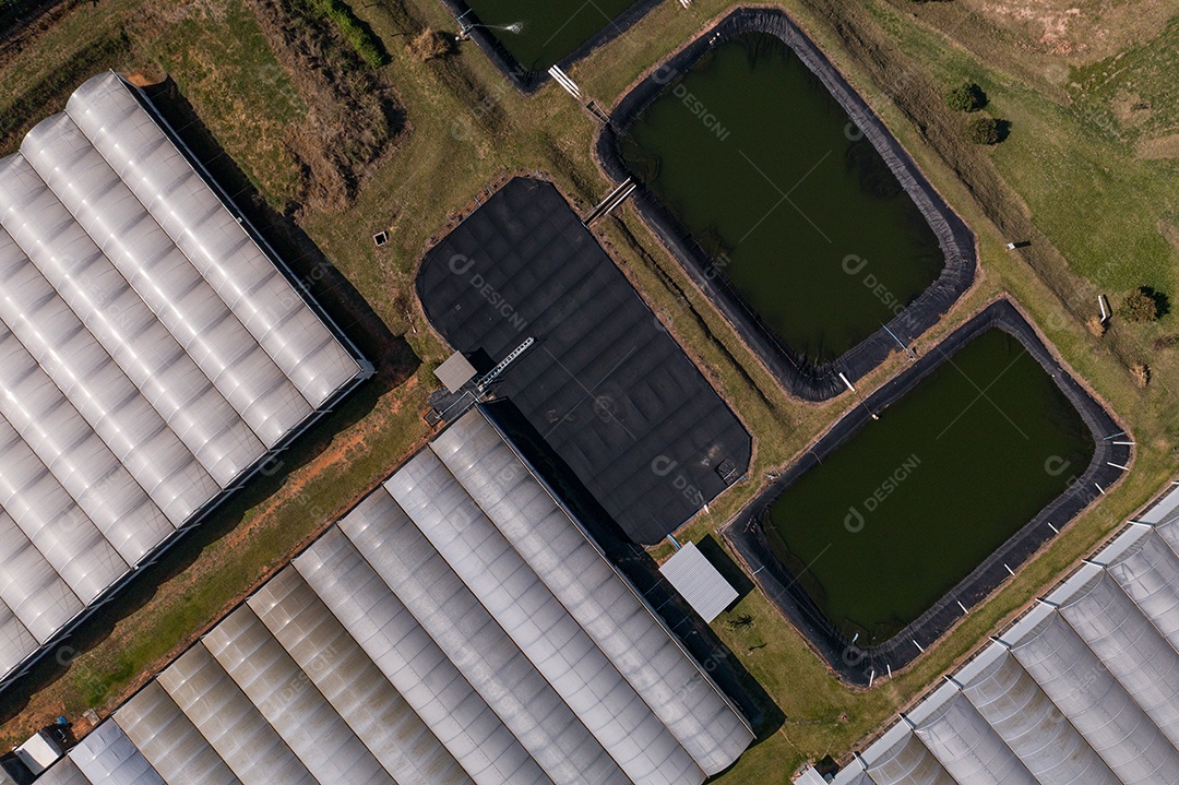Estufas para flores vistas de cima - vista de drone