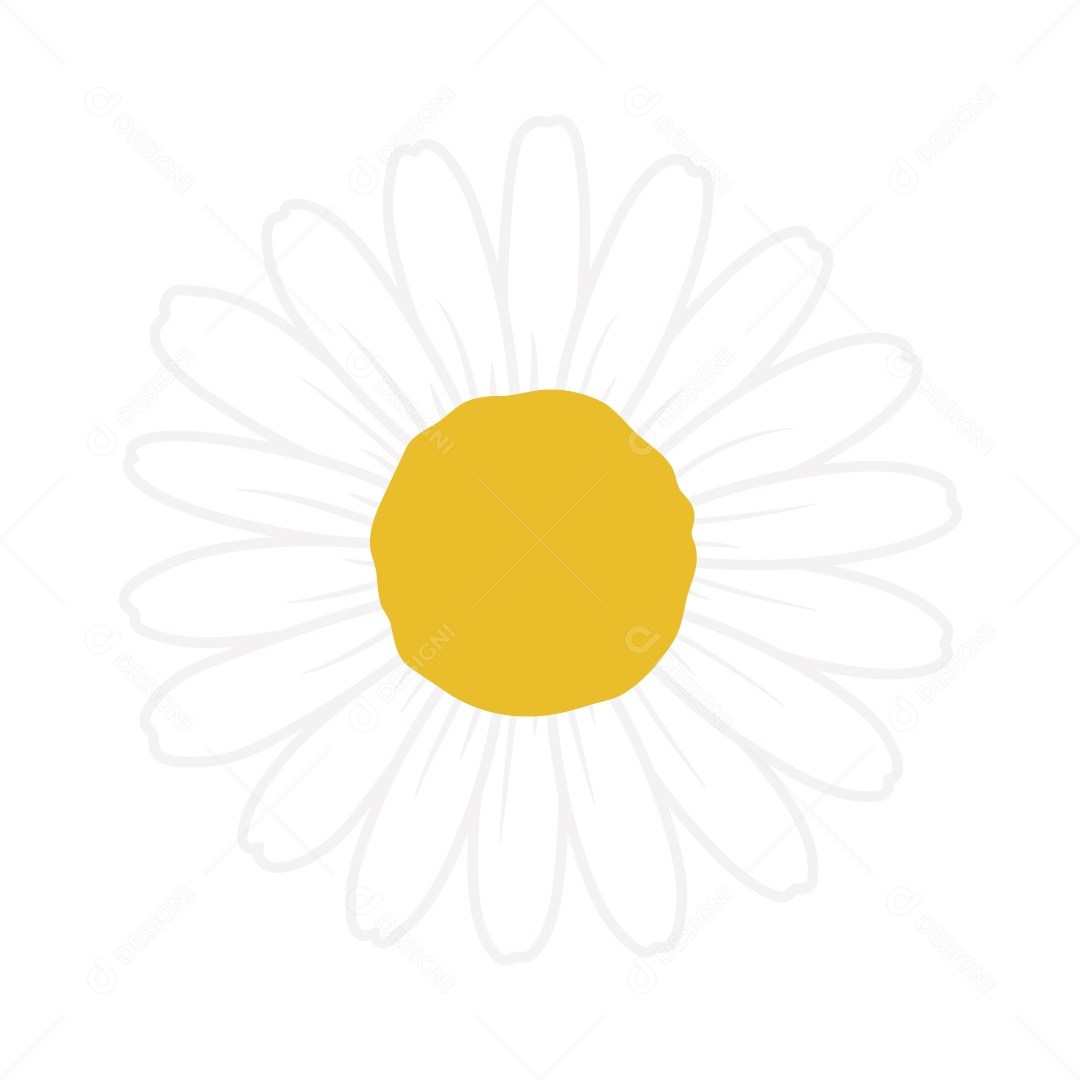 Flor Branca Ilustração Vetor EPS