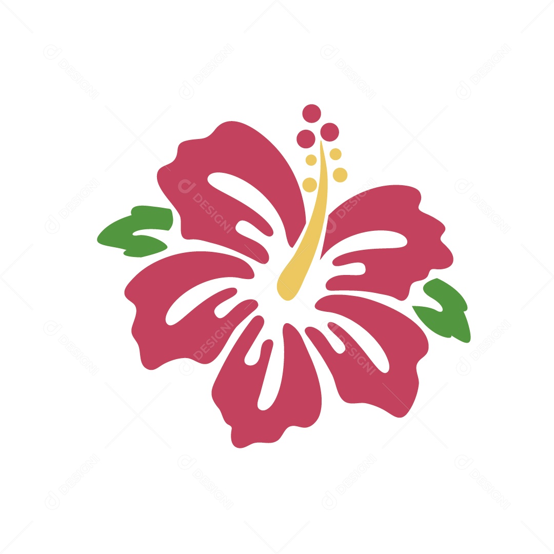 Hibisco Rosa Ilustração Vetor EPS