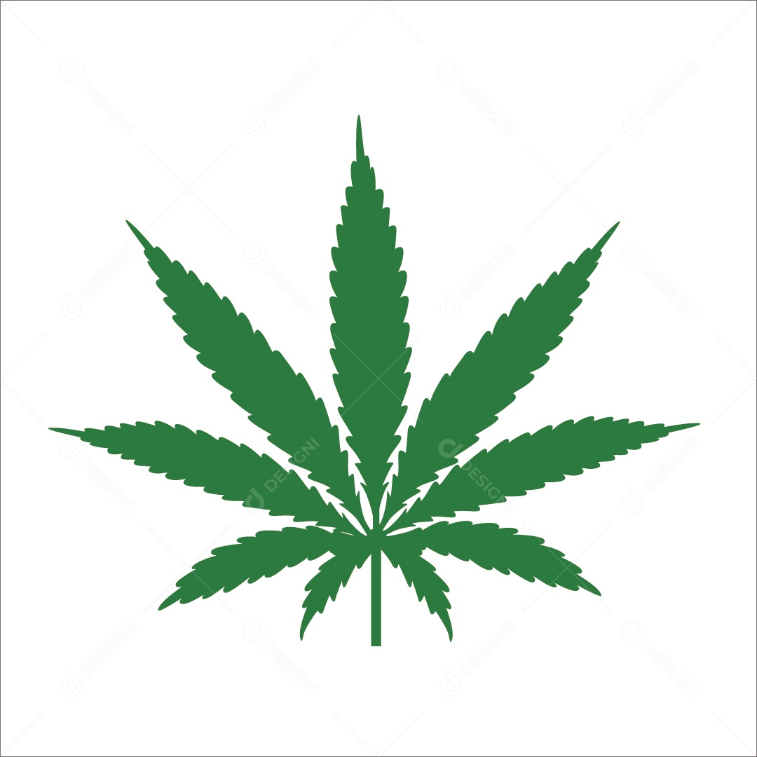 Ilustração de Planta Cannabis Vetor EPS