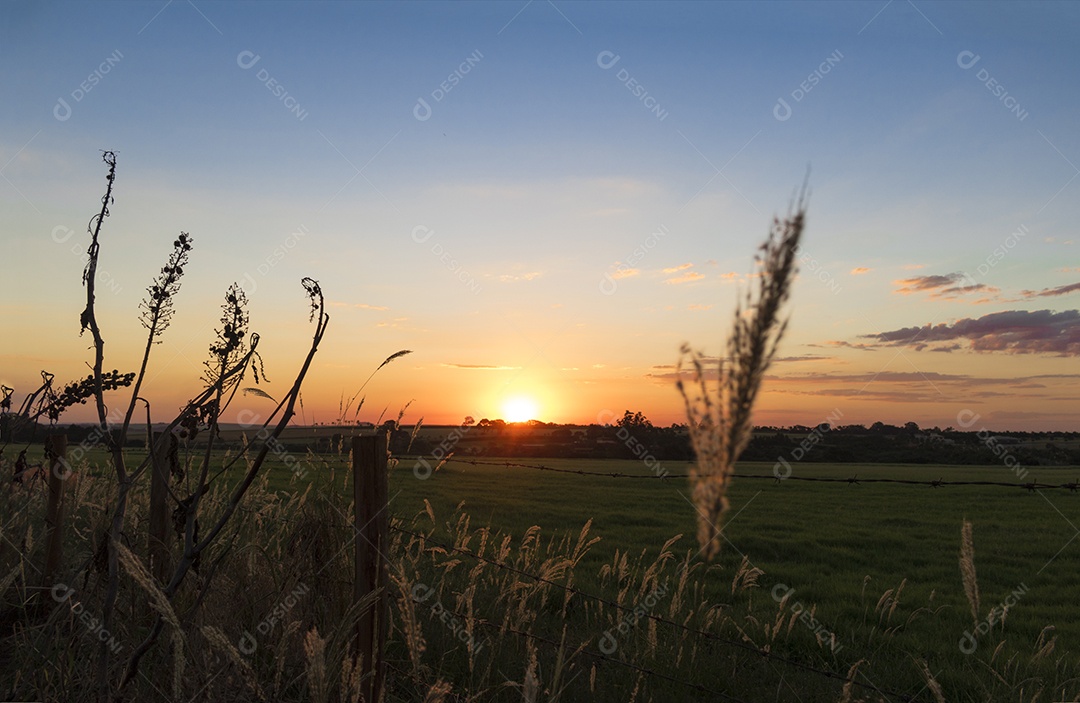 Dramático nascer do sol natural sobre o campo agrícola. Paisagem rural sob céu colorido cênico ao pôr do sol.