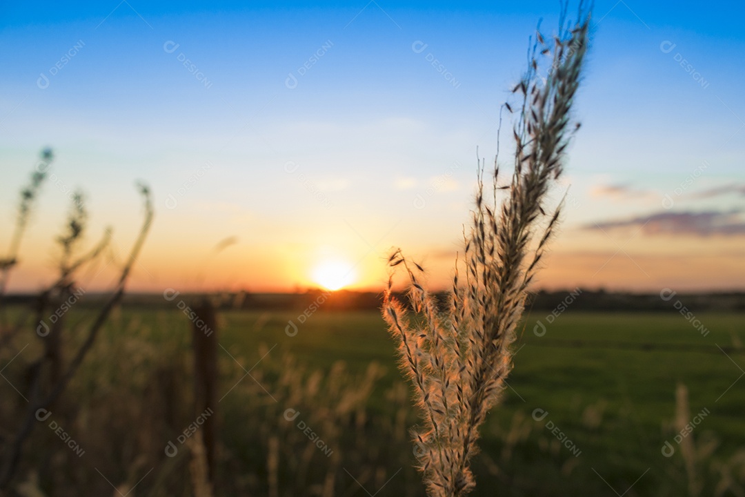 Dramático nascer do sol natural sobre o campo agrícola. Paisagem rural sob céu colorido cênico ao pôr do sol.