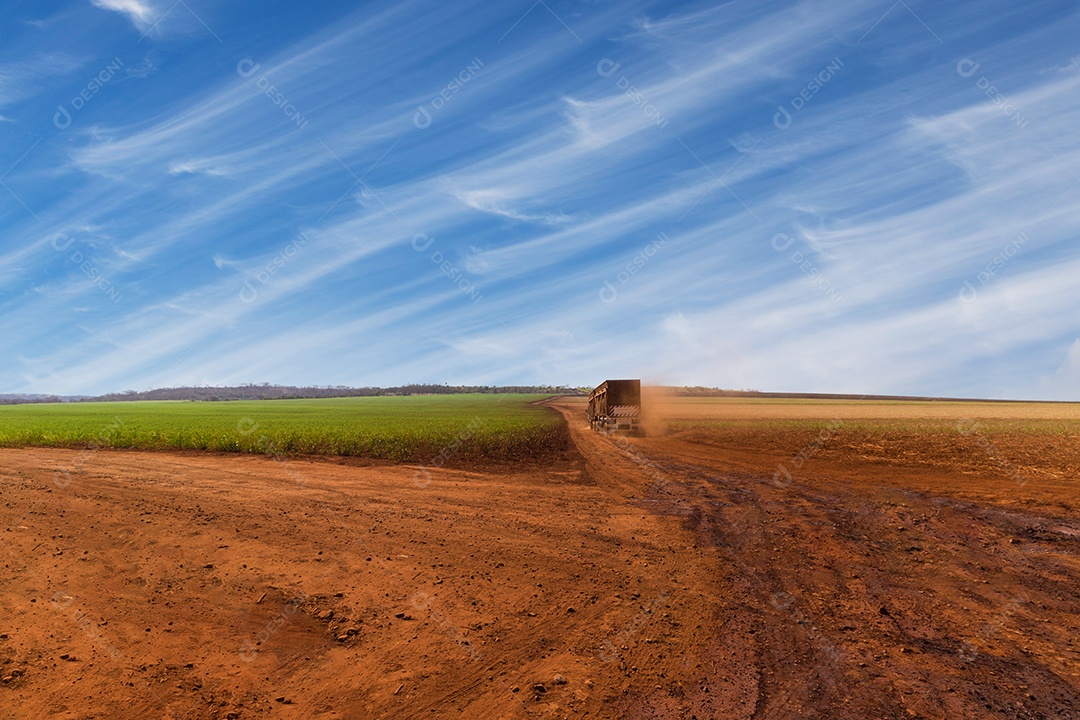 Caminhão na zona rural transportando cana-de-açúcar para a usina em um dia nublado