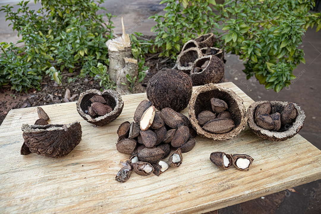Composição de castanhas do Brasil em um tabuleiro