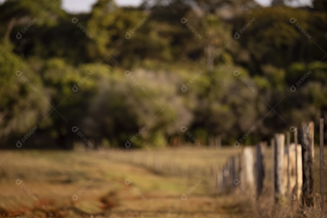 Fundo desfocado do campo florestal agrícola e da cerca