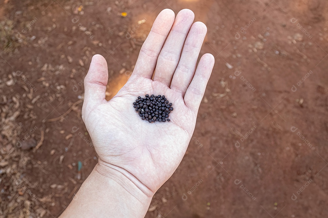 Mão branca limpa e aberta com sementes pretas