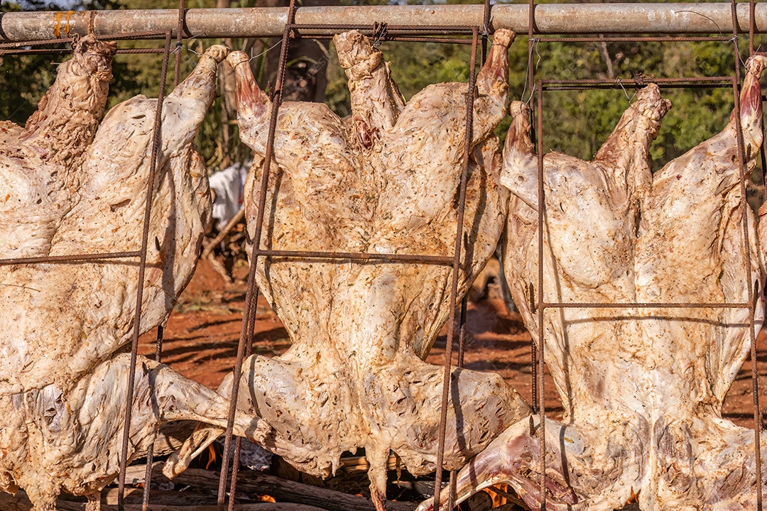 Porcos esticados assando na churrasqueira ao ar livre