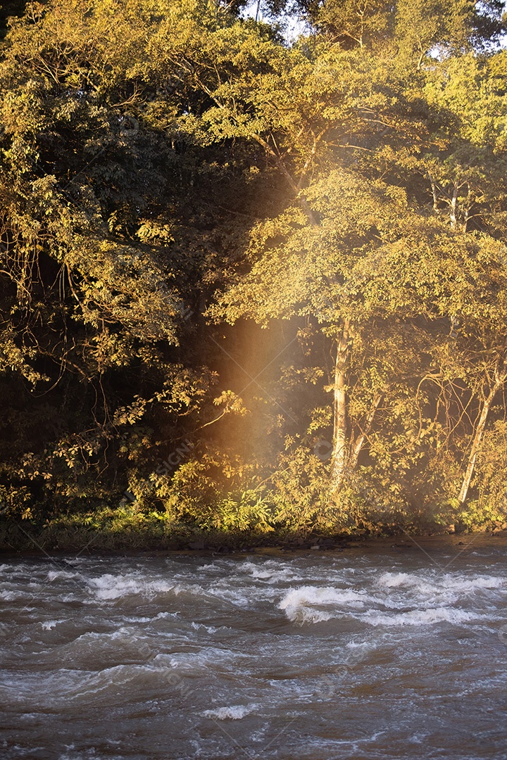 Arco-íris começa a sair de um rio na hora dourada