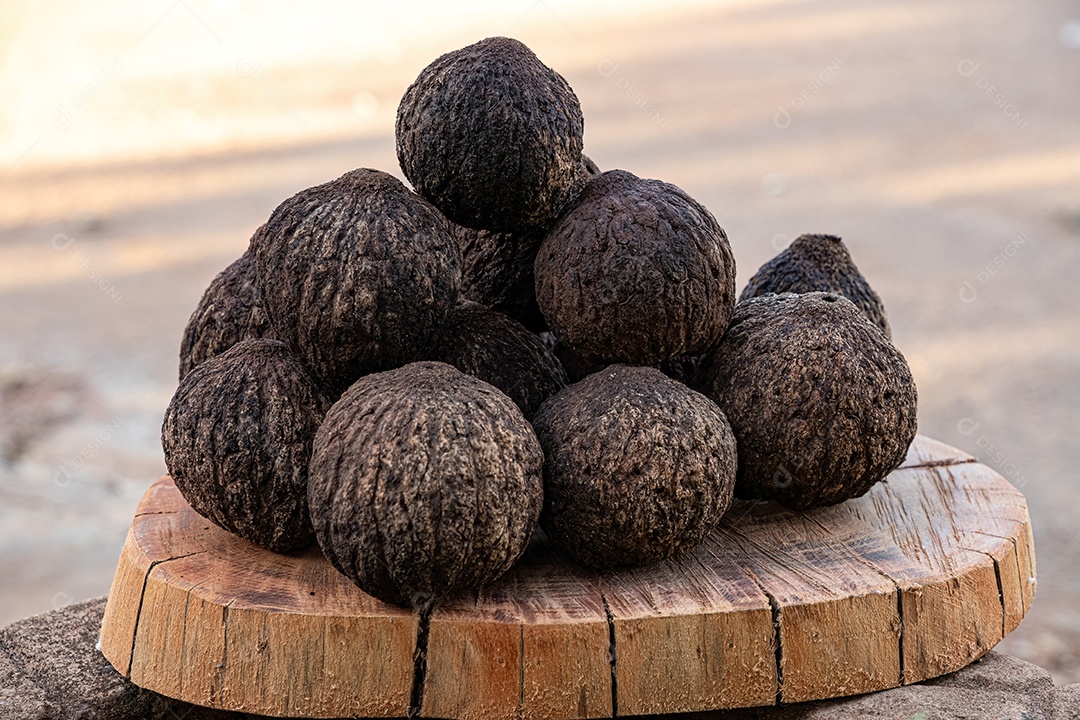 Frutas inteiras do grupo de castanhas do Pará