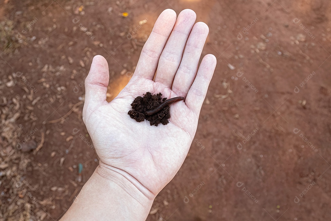 Mão branca limpa aberta com sujeira e minhoca