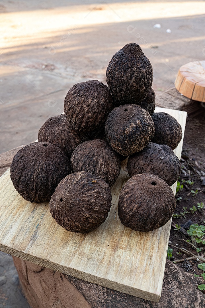 Frutas inteiras do grupo de castanhas do Pará