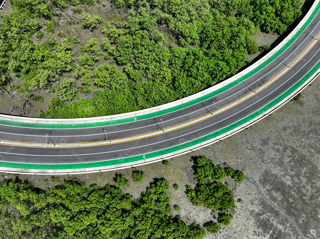 Estrada curva de vista aérea de drone com floresta de mangue verde e praia lamacenta.
