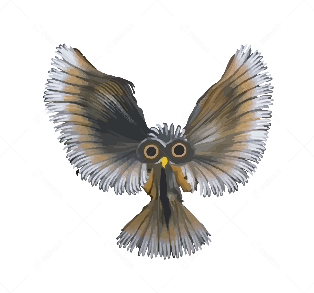 Coruja Ilustração Vetor EPS