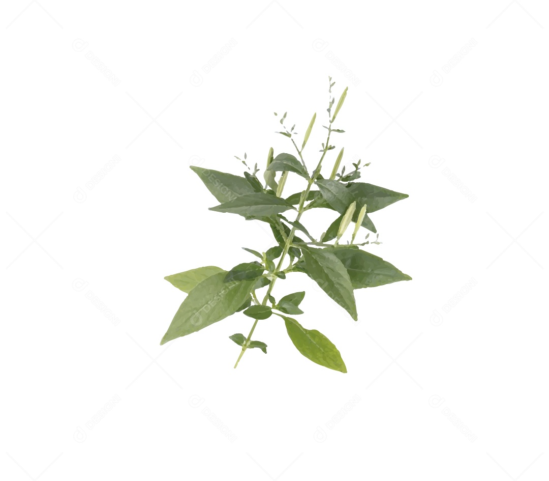 Planta Ilustração Vetor EPS