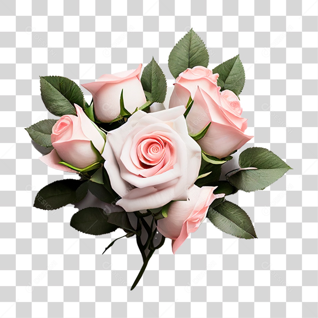 Rosas Buques PNG Transparente