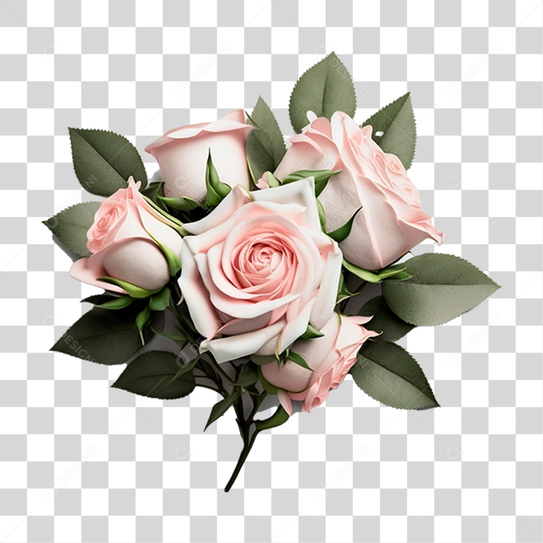 Rosas Buques PNG Transparente