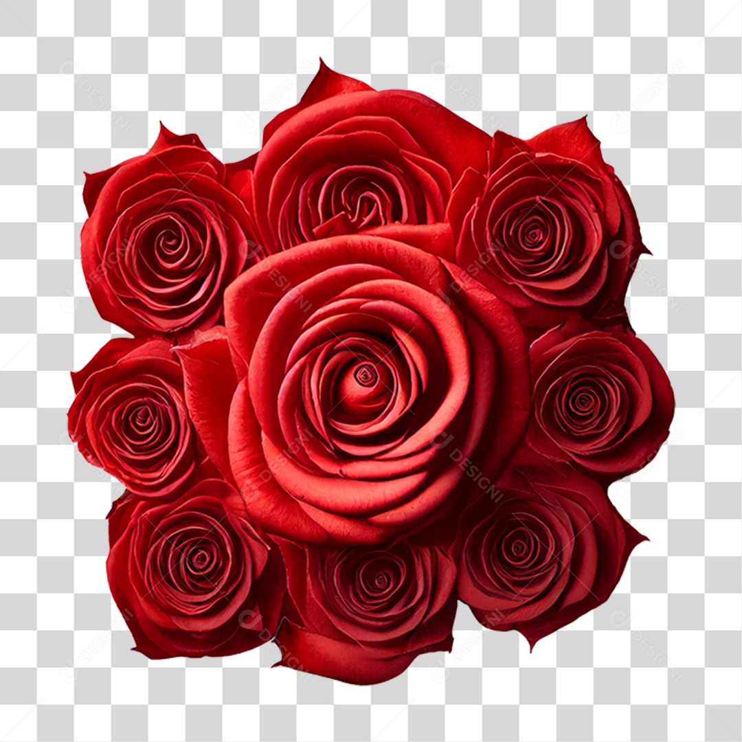 Rosas Vermelhas Buques PNG Transparente