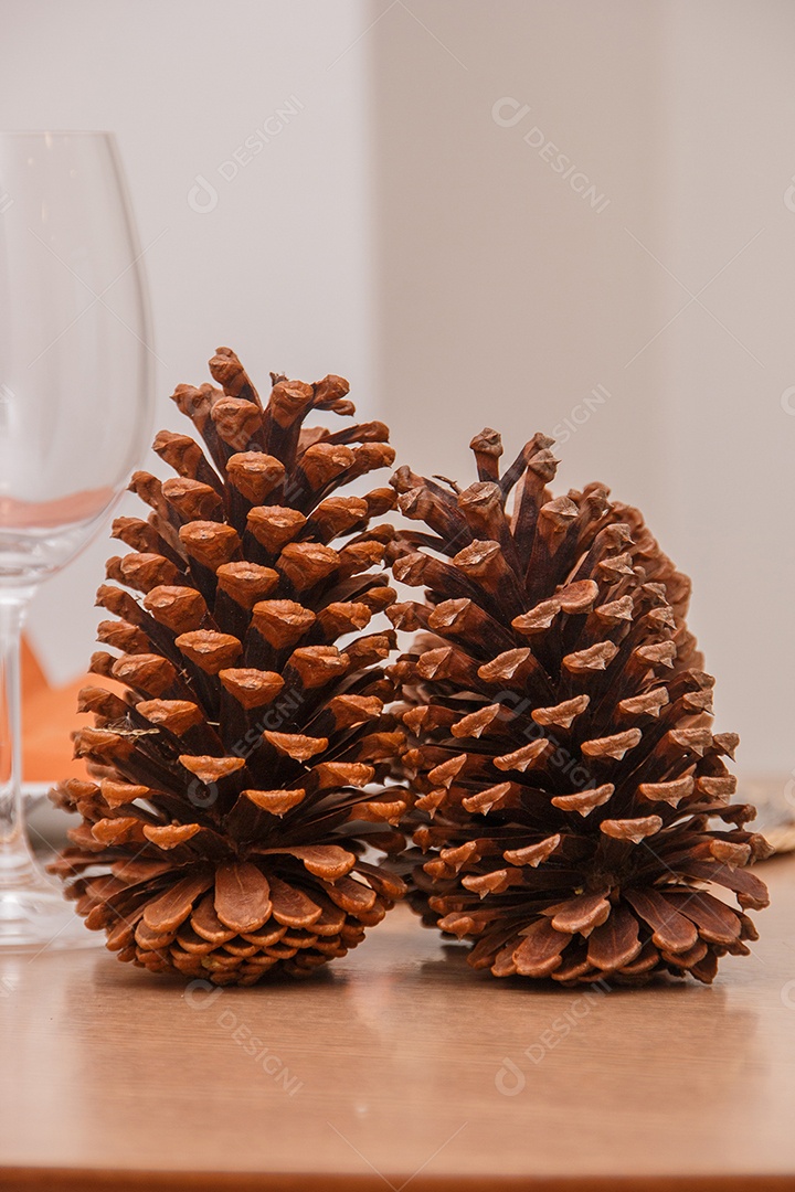 flores estilo natureza morta para decoração no Rio de Janeiro Brasil