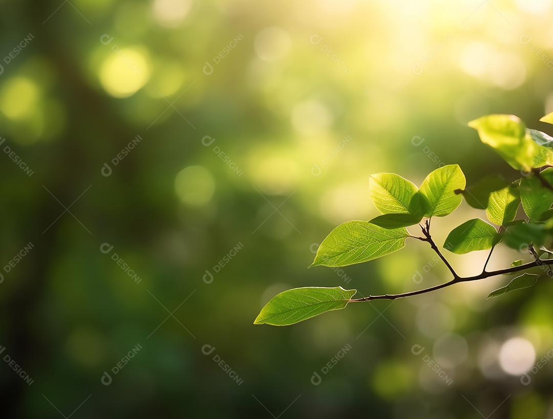 Ramo de árvore com folhas em frente à luz quente e ensolarada, fundo desfocado, conceito de primavera