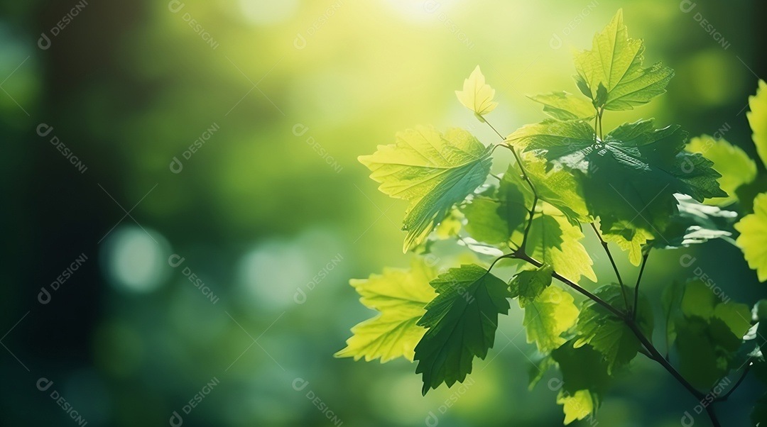 Ramo de árvore com folhas em frente à luz quente e ensolarada, fundo desfocado, conceito de primavera