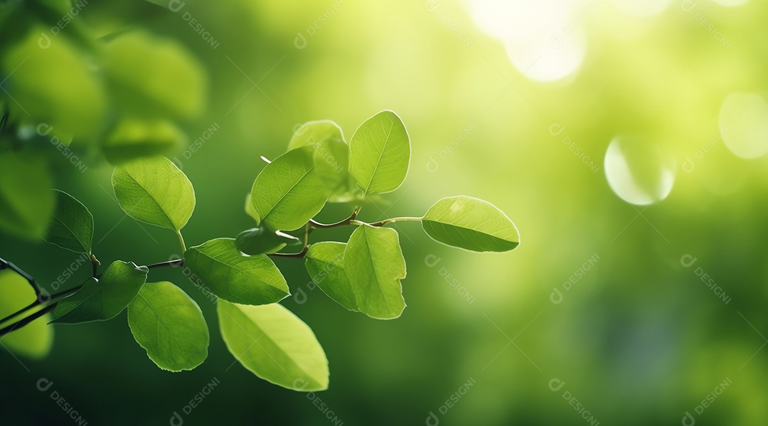 Ramo de árvore com folhas em frente à luz quente e ensolarada, fundo desfocado, conceito de primavera