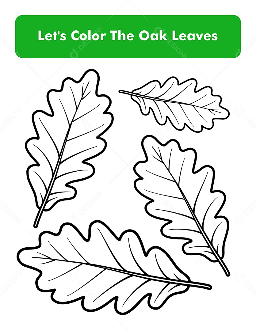 Desenhos de Folhas Para colorir Vetor EPS