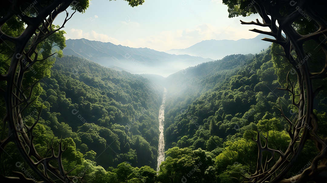 Linda vista de uma floresta